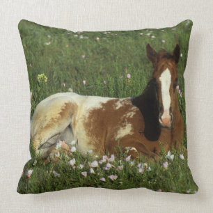 Coussin Poulain d'Appaloosa fixant en fleurs