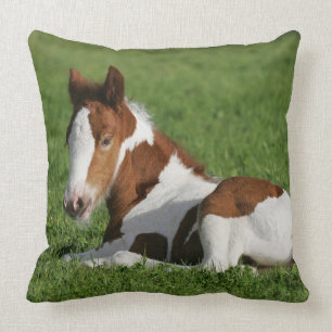 Coussin Poulain s'étendant dans l'herbe