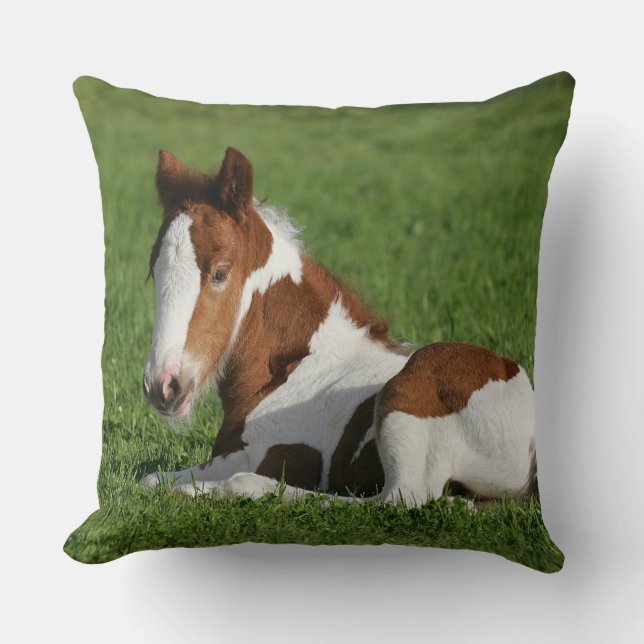 Coussin Poulain s'étendant dans l'herbe (Recto)