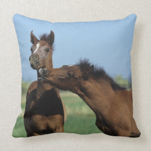 Coussin Poulains jouant 2