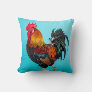 Coussin poulet