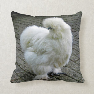 Coussin Poulet blanc Silkie Photo