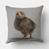 Coussin Poulet de bébé (Verso)