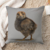 Coussin Poulet de bébé (Couverture)