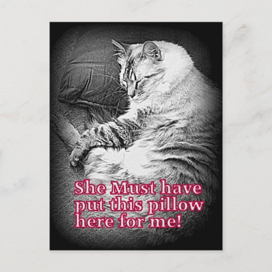 Coussin pour moi Carte postale (Devant)