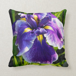 Coussin pourpre ensoleillé d'iris