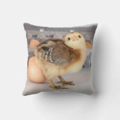 Coussin Poussin et oeufs précieux de bébé (Verso)