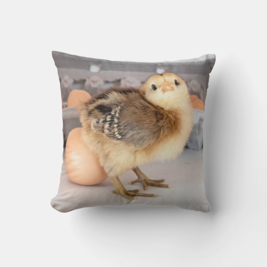 Coussin Poussin et oeufs précieux de bébé (Recto)