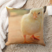 Coussin Poussins de bébé (Couverture)