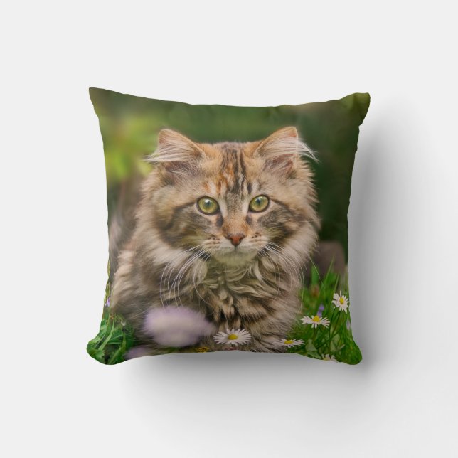 Coussin Pré mignon de fleur de chat de chaton de ragondin (Recto)