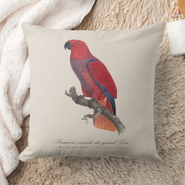 Coussin Premiere variete du grand Lori / Eclectus perroque (Couverture)