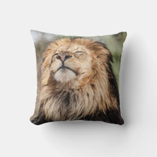 Coussin Prendre un bain de soleil masculin de lion