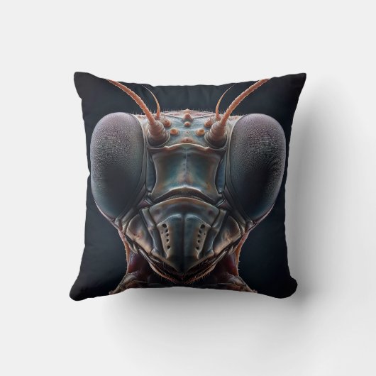 Coussin Prier Mantis Fermer Macro (Verso)