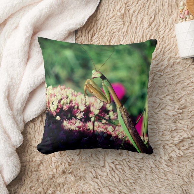 Coussin Priez Mantis Sur Sedum Flower Close Up (Couverture)