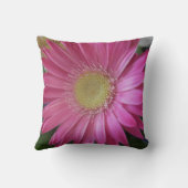 Coussin Princesse rose de marguerite (Verso)