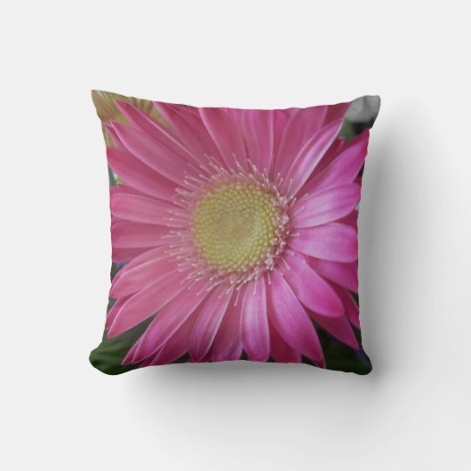 Coussin Princesse rose de marguerite (Recto)