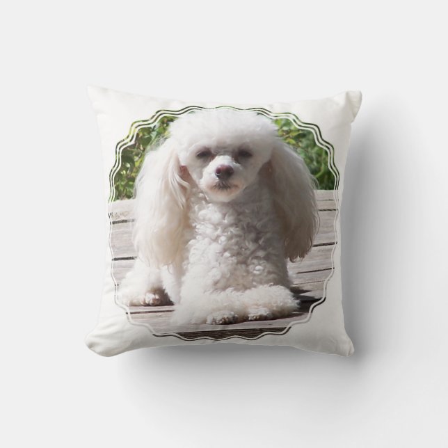 Coussin Produit de personnaliser (Recto)