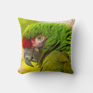 Coussin Profil d'ara au zoo de Santa Barbara