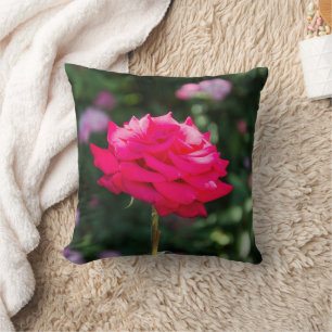 Coussin Profil des pétales de rose rouge