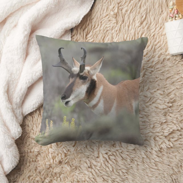 Coussin Pronghorn Antelope Buck | Grand Tétons (Couverture)