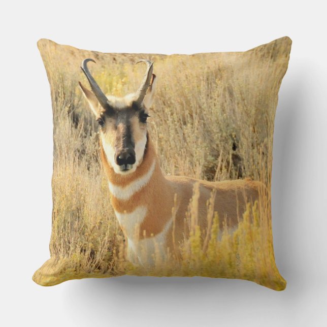 Coussin Pronghorn Buck (Recto)