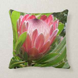 Coussin Protea rouge