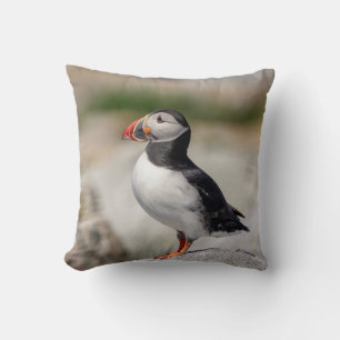 Coussin Puffin Atlantique en Machias, Maine