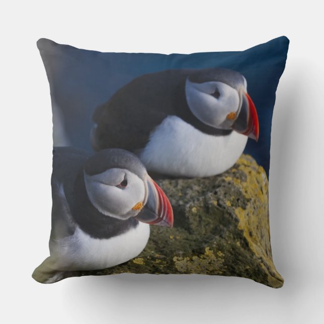 Coussin Puffin atlantique (Fratercula arctica) 7 (Recto)