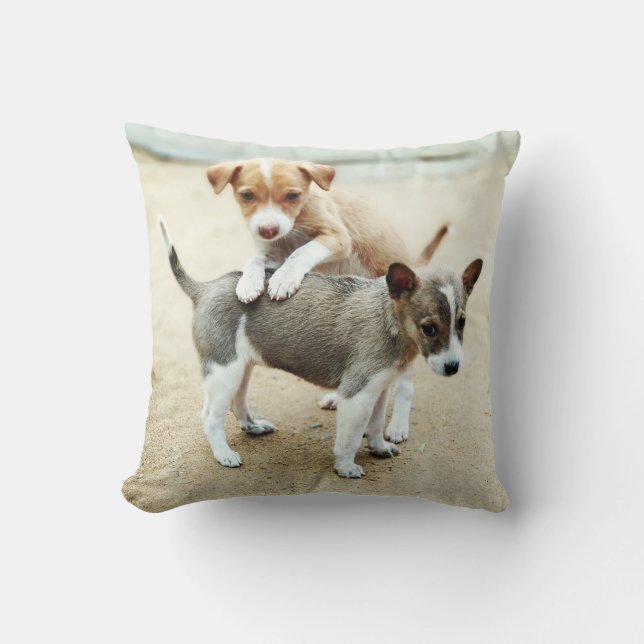 Coussin Puppies mignonnes jouer sur la plage (Recto)