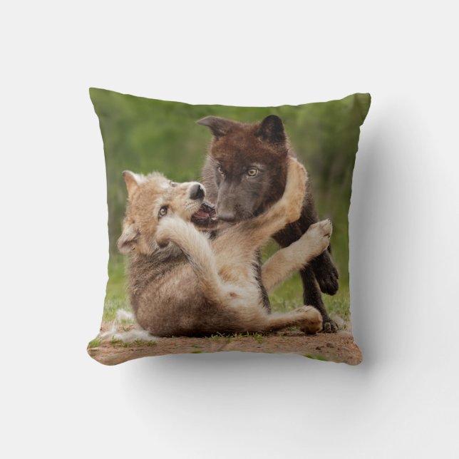 Coussin Pups de loup gris luttant (Recto)