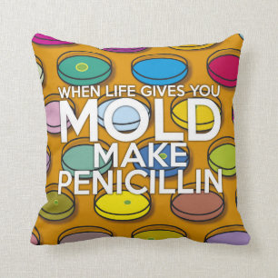 COUSSIN QUAND LA VIE VOUS DONNE DE LA MOISISSURE FAITES DE