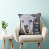 Coussin Qu'est-ce que le Prob-Llama ? Jote Drôle LLAMA (Chaise)