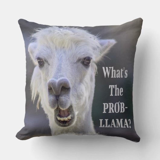 Coussin Qu'est-ce que le Prob-Llama ? Jote Drôle LLAMA (Recto)