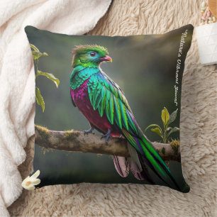 Coussin "Quetzal serein"
