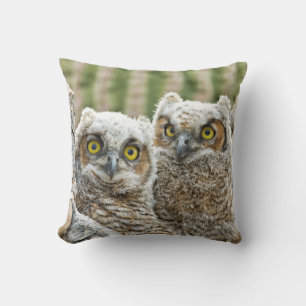 Coussin Qui est là, Pair of Owl's