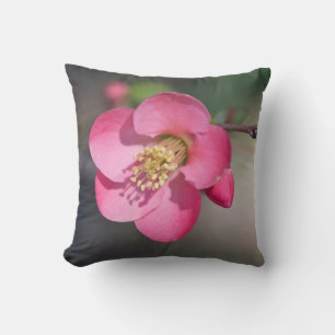 Coussin Quince à fleurs roses parfaite