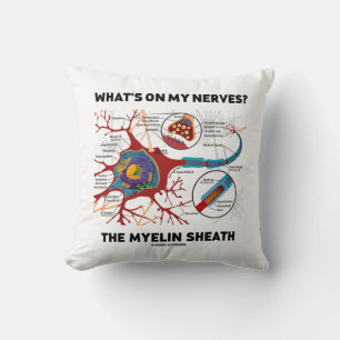 Coussin Qu'y a-t-il sur mes nerfs ? Le Myelin Sheath