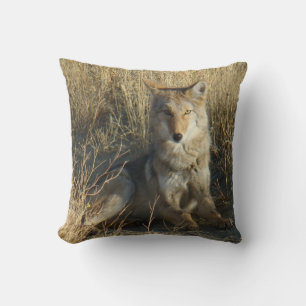 Coussin R15 Coyote Laying