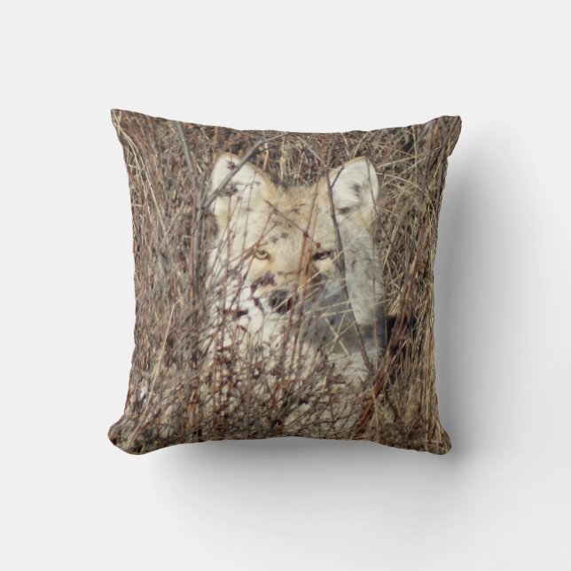 Coussin R21 Coyote "Vous surveille" (Recto)