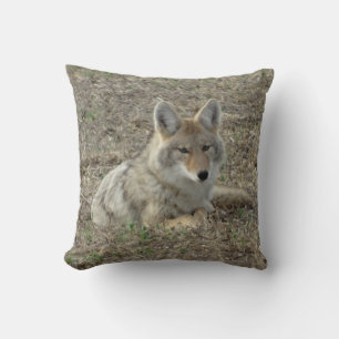 Coussin R22 Coyote Laying