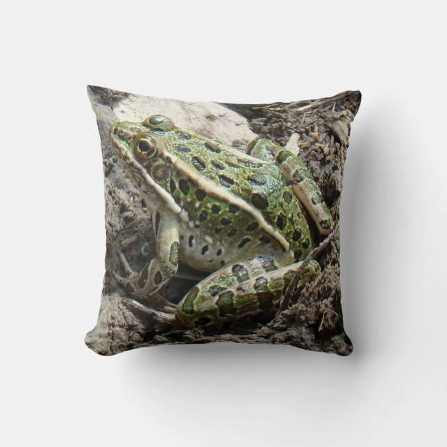 Coussin R3 Grenouille léopard (Recto)