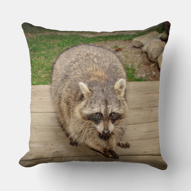 Coussin Raccoon avec puce (Recto)