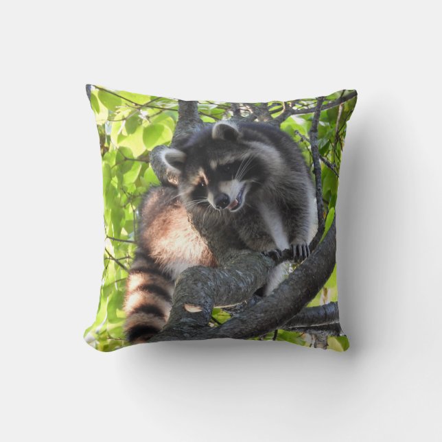 Coussin Raccoon dans un arbre (Recto)