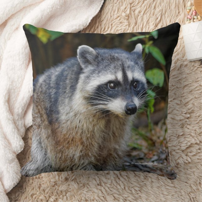 Coussin Raccoon nord-américain mignon (Couverture)