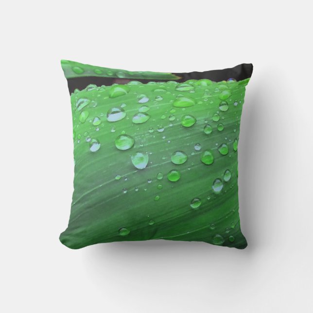 Coussin Raindrops Closeup (Recto)