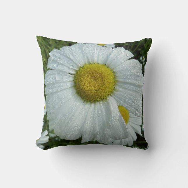 Coussin Raindrops sur Daisy I Floral Fleur sauvage (Recto)