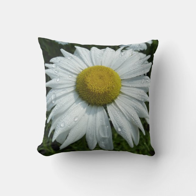 Coussin Raindrops sur Daisy II Floral Fleur sauvage (Recto)