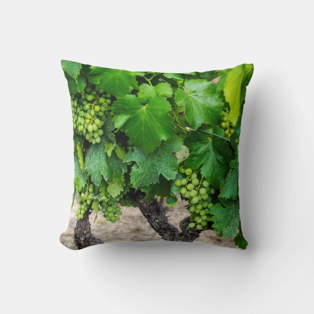 Coussin Raisin de cuve, France (Recto)
