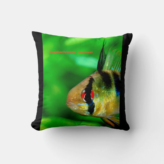 Coussin Ram Cichlid , Papiliochromis ramirezi (Recto)
