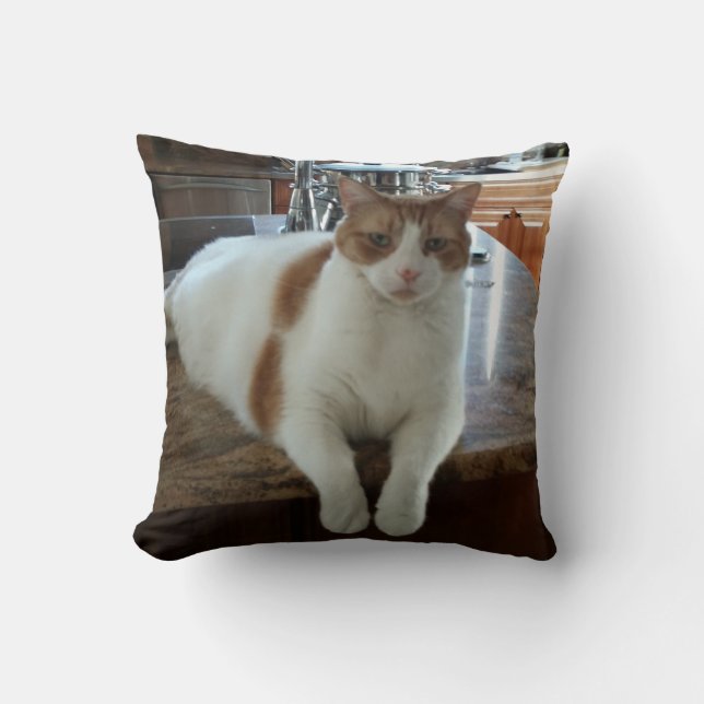 Coussin Rambo Kitty (Recto)